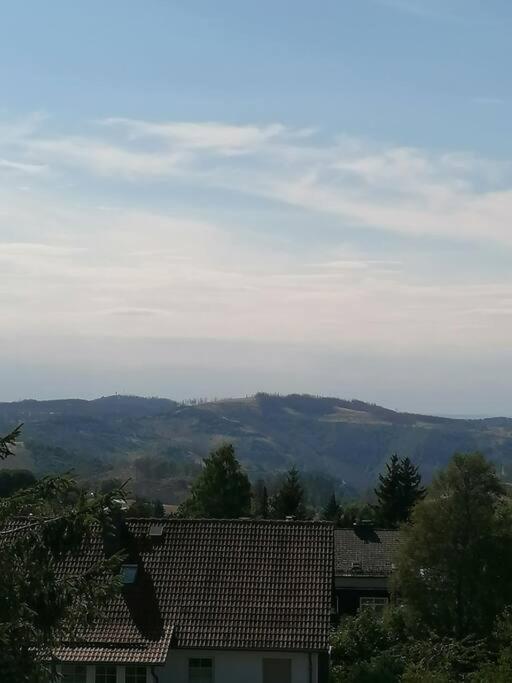 Ferienhaus Hoher Weg - Urlaub, Wandern, Downhill Und Workation Am Nationalpark Harz Sankt Andreasberg Ngoại thất bức ảnh