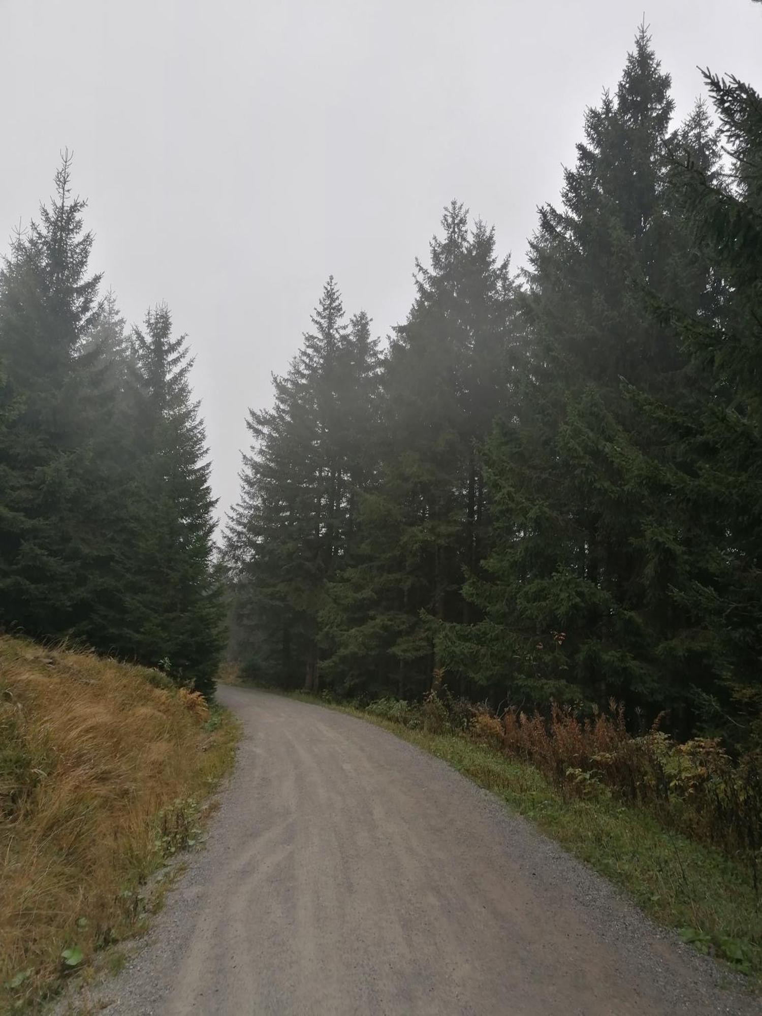 Ferienhaus Hoher Weg - Urlaub, Wandern, Downhill Und Workation Am Nationalpark Harz Sankt Andreasberg Ngoại thất bức ảnh